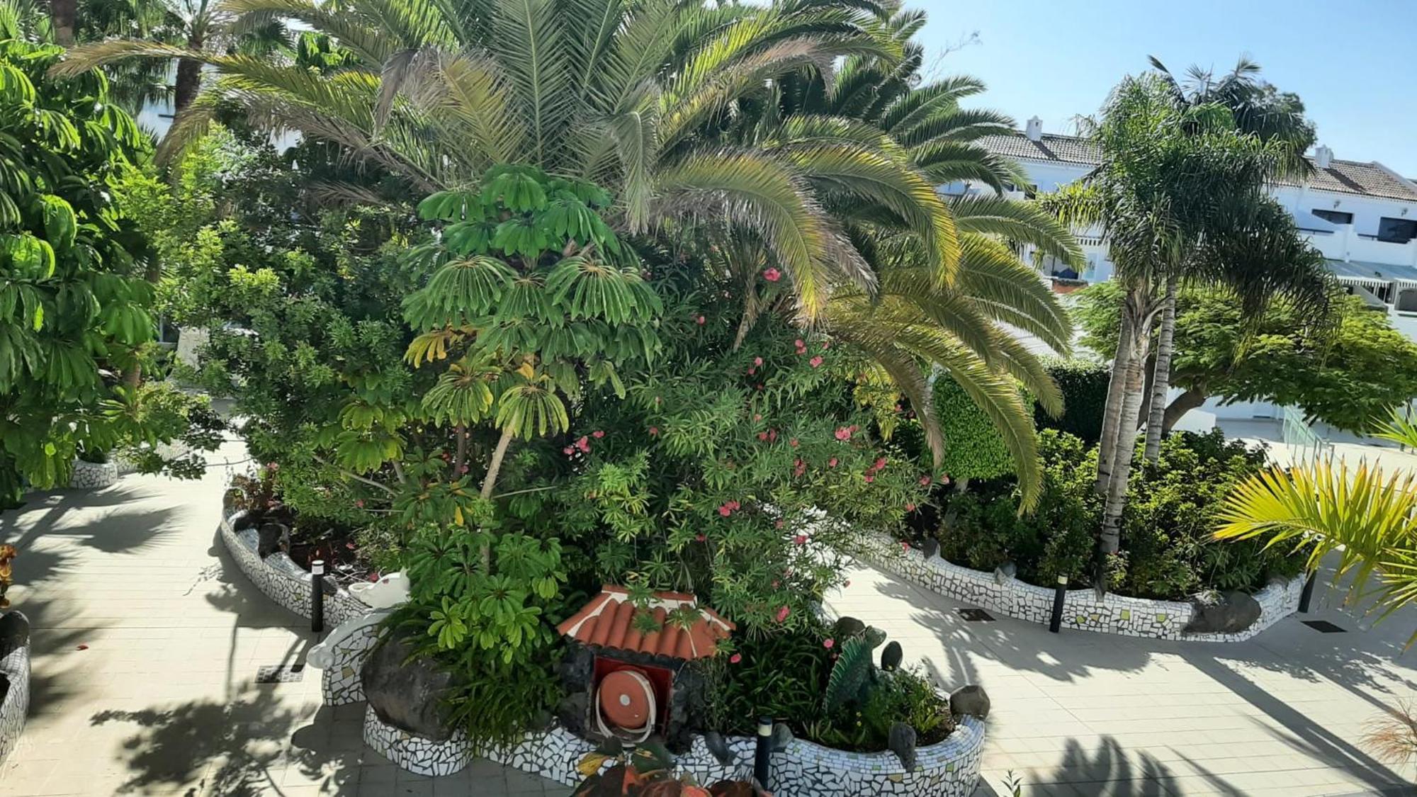 Blue Bay Paradise - Beach Front Apartment With Sea View Playa Paraiso  Esterno foto